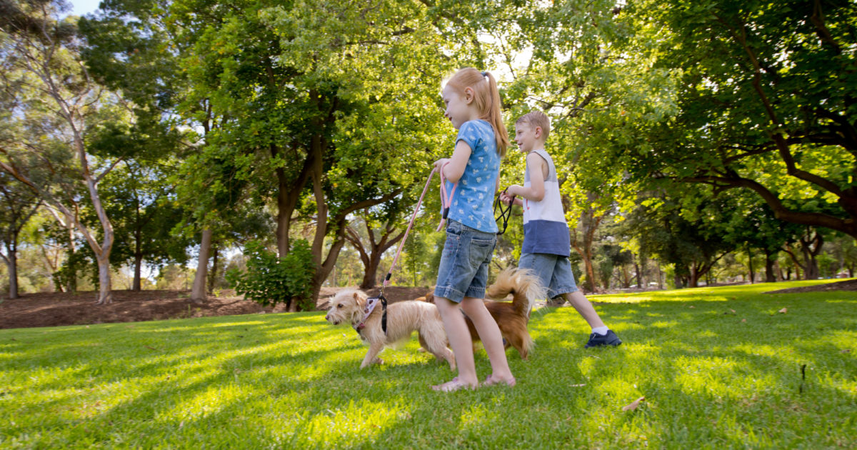 New concept for eastern end of Fremont Park · City of Playford