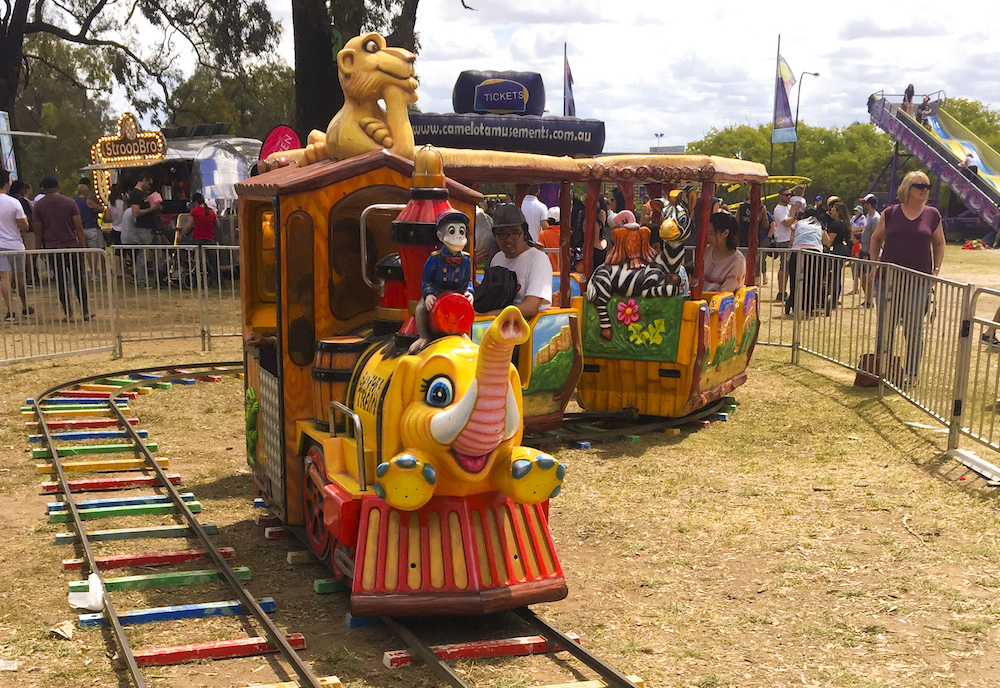 The Safari Train Ride