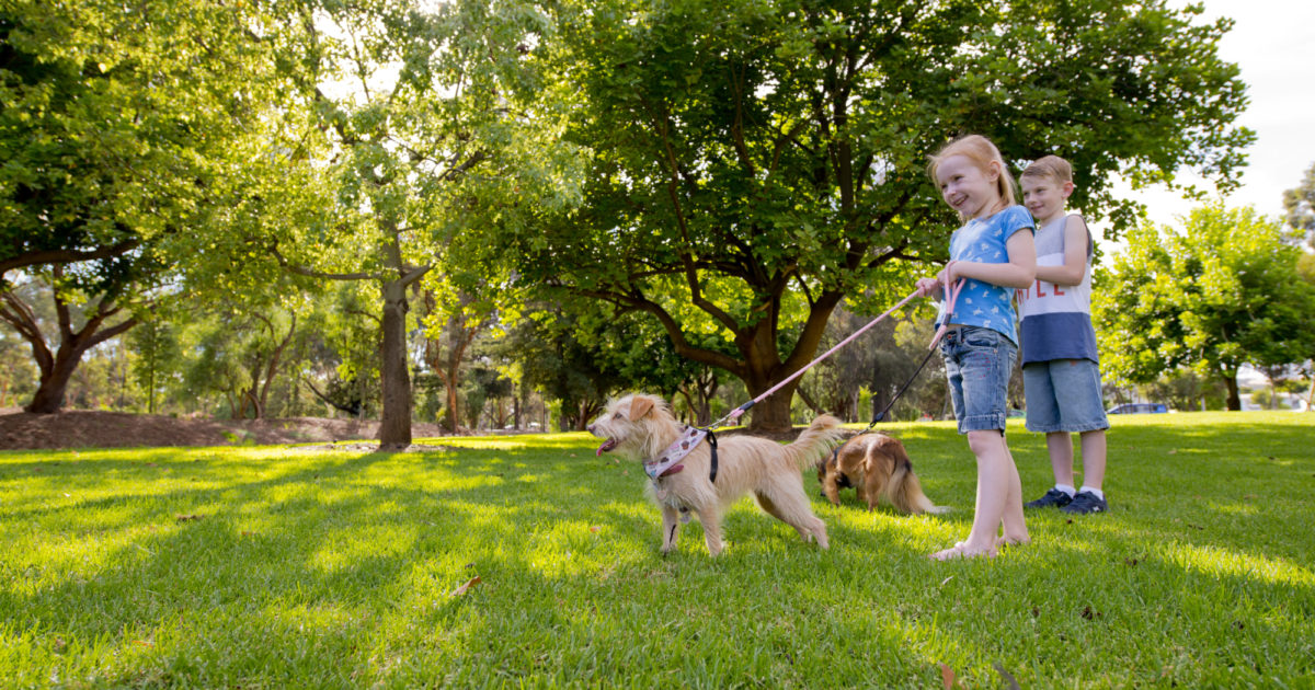 New services for a growing city prioritised in Draft Annual Business Plan and Budget 2023/24