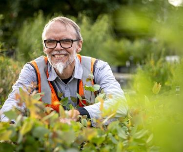 Get you hands dirty with Bill