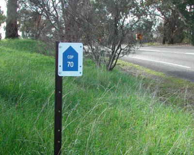 Blue Marker on Roadside