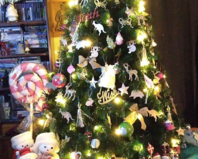 Sarah J first prize winner