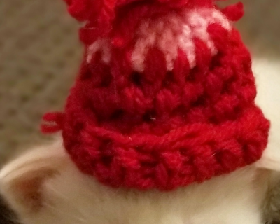 Screenshot 2019 03 13 21 52 52 69