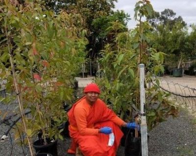 Muny with Trees at the nursery