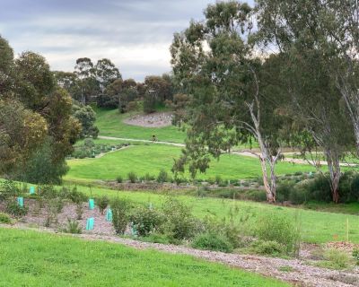 Smith Creek Trail 1 lo res Aug 2021