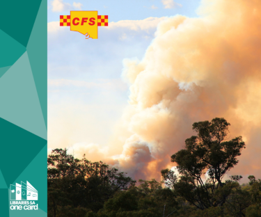 Are you bushfire ready?