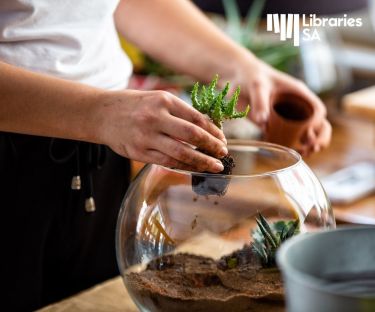 Terrarium Workshop with Markus Hamence