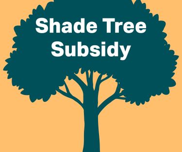 Discounted shade trees to help increase tree canopy on private land