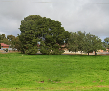 Brian Coward Reserve