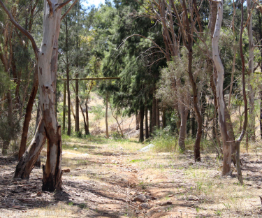 Ken Patterson Reserve
