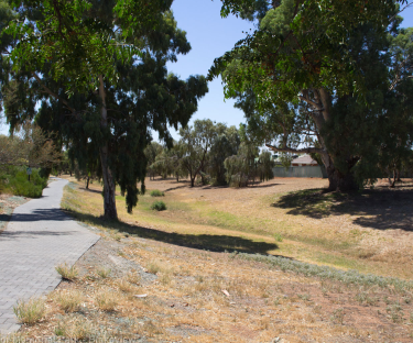 Kevin Taylor Memorial Park