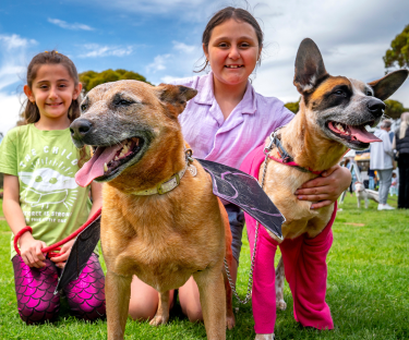 City of Playford endorses Annual Business Plan