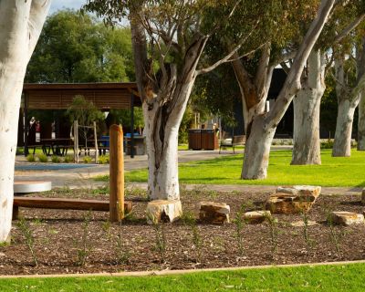 Playford Brad Griffin2024 54