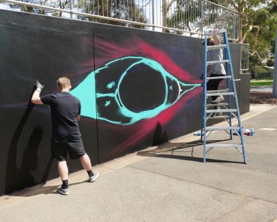 Public Art NSS Skate Park 8