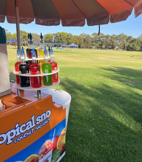 496858259 1246085964183526 3425106706695033809 n