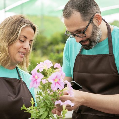 Safer Workplaces in Horticulture