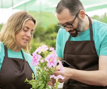Safer Workplaces in Horticulture