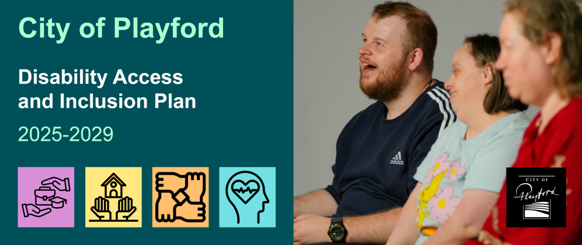 DAIP web banner 1200x506px 1