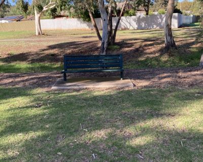 Pipkin second bench 052026
