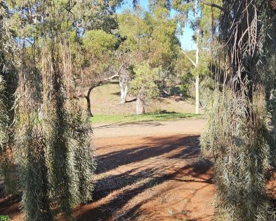 Jubilee cubbyhouse tree 052026