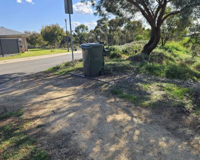 Sanctuary bin 052026