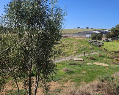 Sanctuary fenced side 052026