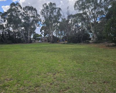 Taunton grass area 052026