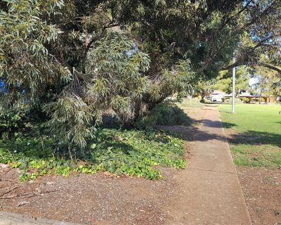 Marena paved path 052026