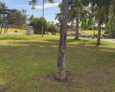 Acacia grass view doggy bin 122025