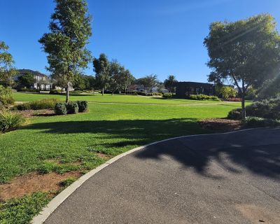 Miravale grass area and trees 052026