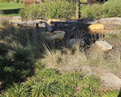 Miravale nature balance 052026