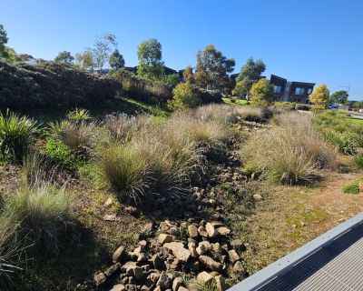 Miravale waterway 052026