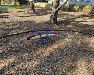 Cabernet court reserve rocker seesaw 052026