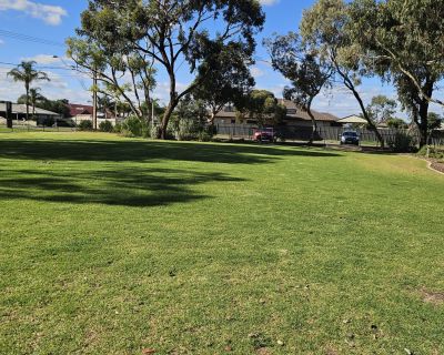 Peerless grass play area 052026