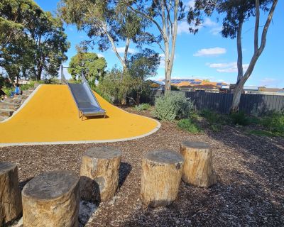 Peerless slide 052026