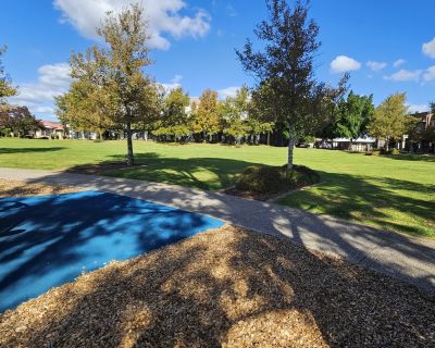 Hayfield grass from playground view 052026