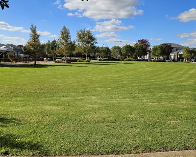 Hayfield grass play area 052026