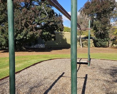 Springvale flying fox 052026