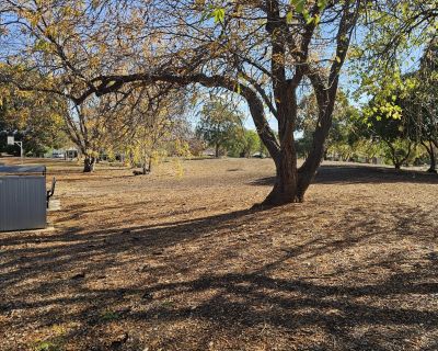 Springvale nature area 052026