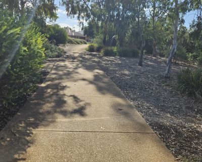 Curtis wetlands gravel path 052026
