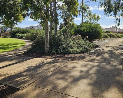 Curtis wetlands path network 052026