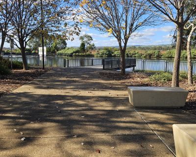 Curtis wetlands path to lake 052026