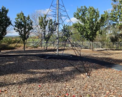 Curtis wetlands rope tower 052026