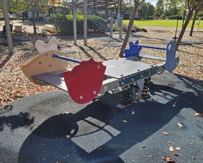 Curtis wetlands seesaw rocker 052026