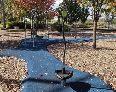 Curtis wetlands spinner 052026