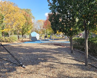 Curtis wetlands swings and dome 052026