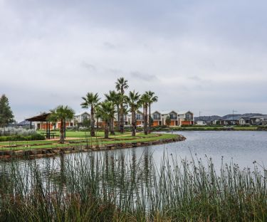 JJ Sheedy Reserve