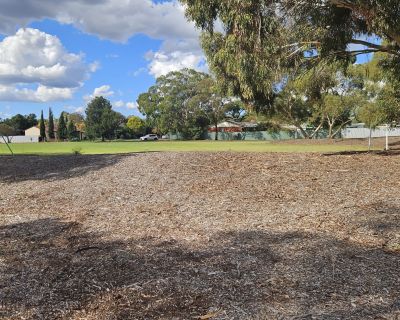 Winulta Park mound and playground 052026