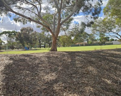 Winulta Park mound and trees 052026