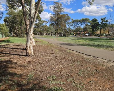 Winulta Park path to left 052026